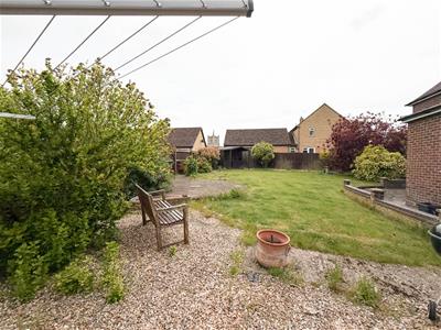 Picture 20